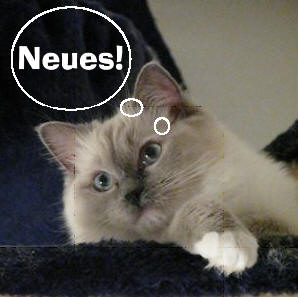 Neues auf unseren Seiten...